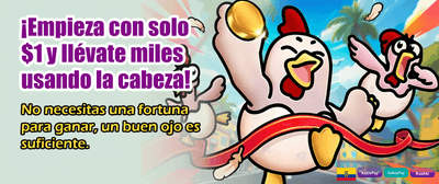 Las mejores apuestas en Ecuador
